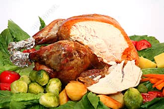 Holiday turkey