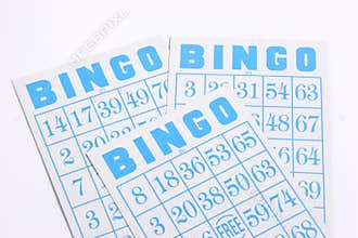 Bingo 02