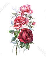 Pink and Red Roses Bouquet Nice composition watercolour