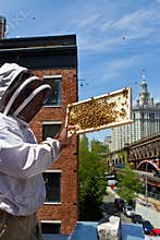 Urban beekeeper
