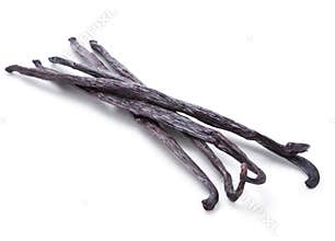 Vanilla pods on white