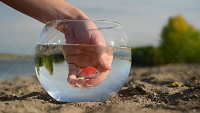 Woman catching a goldfish in a round aquarium on the beach.