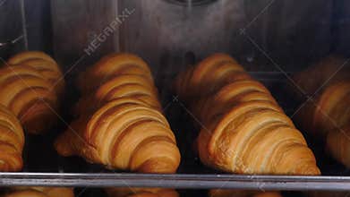 Timelapse of croissants baked in oven. Classic Viennoiserie made of puff pastry. French bakery. baking process. Making