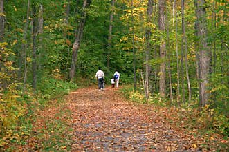 Family Walk in Autumn Woods