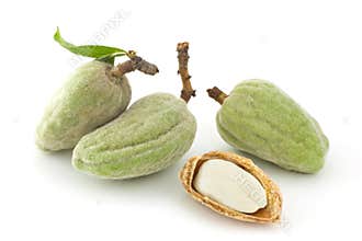 Fresh almonds