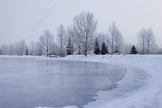 Frozen Pond