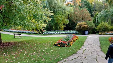 A healthy lifestyle of walking in the park in autumn