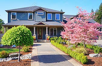 Grey luxury house with spring pink trees.