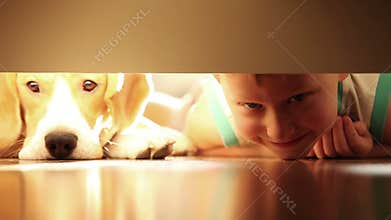 Laughing little boy with his best friend beagle dog under the bed