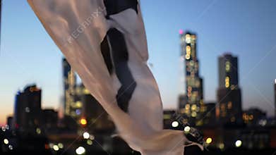 Cityscape at Dusk with Flag