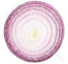 Red or purple onion slice isolated