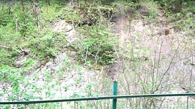 Waterfall Forest Nature Landscape - A small waterfall cascades down a rocky cliff face surrounded by lush greenery. The scene is