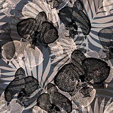 Monochrome tropic leaves and orchid flowers in brown tones.