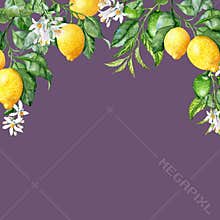Hand-drawn Header with lemon Branches for Cards