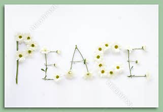 Say It With Flowers: Peace