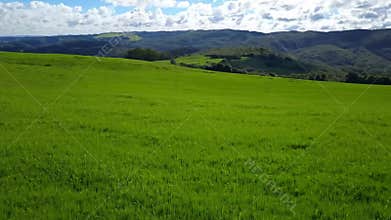 Vast green hills, natural landscape style, lush green with blue sky and white clouds