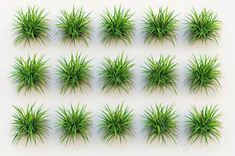 The grass line cads set is characterized by its minimalism and isolation on a white background, featuring ground cover