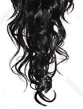 Curly Black Hair isolated in white.