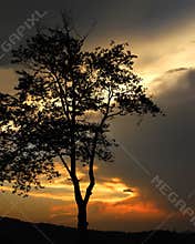 Carolina Sunset