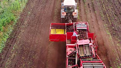 aerial view of harvesting sugar beets