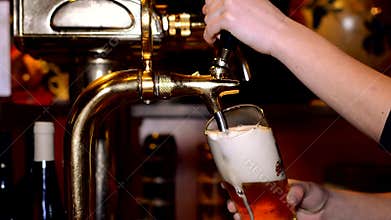 Beer in the pub