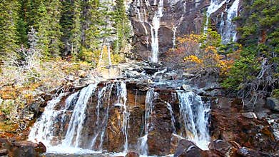 Tangle Falls Jasper National Park