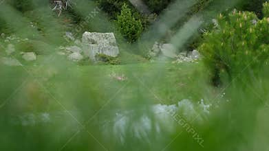 View Clean Mountain Stream and Alpine Nature through a Blurred Grass Background.