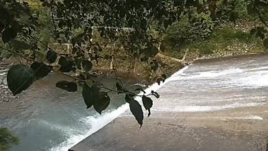 natural views that amaze the eye. tree branches in the river, there is a clean waterfal .