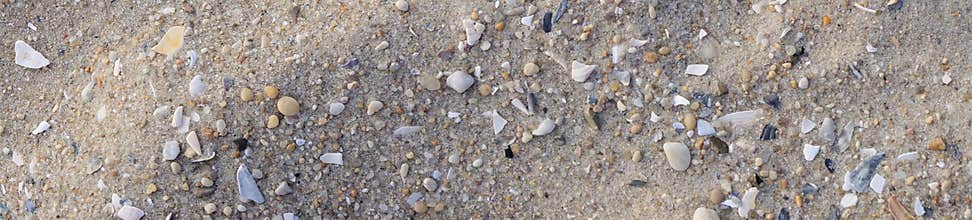Panorama close up of broken shells on fine grained sand particles