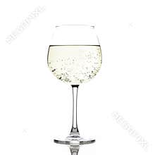 Wine glass