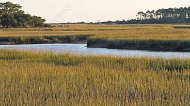 South Carolina Salt Marsh