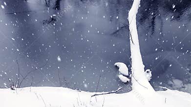 Christmas Winter Backgrounds Landscape