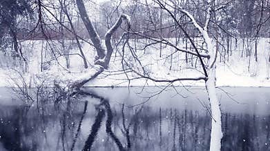 Christmas Winter Backgrounds Landscape