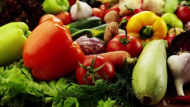 Vegetables. Close-up