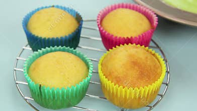 Icing Cup Cakes 1