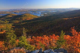 Fall foliage in New England