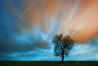 Dreamscape