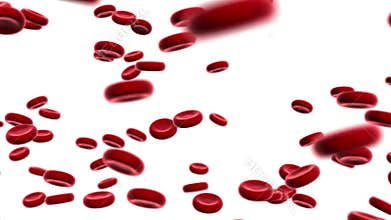 Floating blood cells