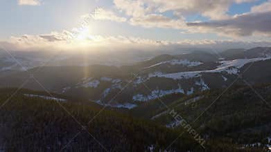 Forest snow mountains cold weather tree pine nature magic beautiful