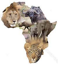 African wildlife background
