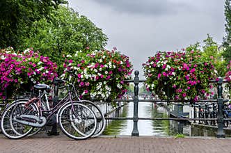 Bicycle Stories in Amsterdam II