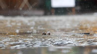Heavy rain causes flooding on city streets