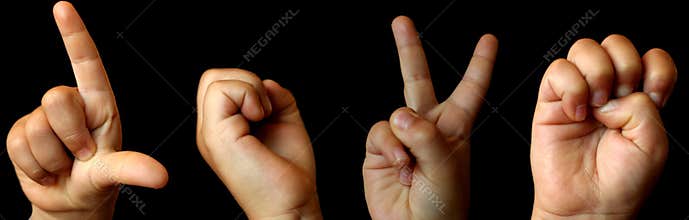 Love in Sign Language