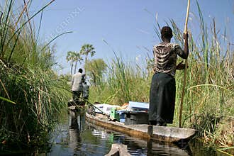 Making your way through the Delta