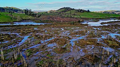 Aerial view of a partially drained reservoir with dead trees and reflective water pools