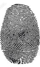 Fingerprint-vector