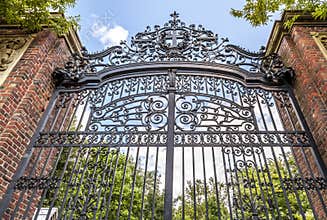 Harvard University