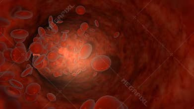 Blood cell inside human pulsing vein, stock footage