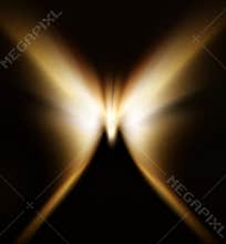 Abstract of a butterfly with zoom