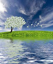 Cash tree with reflection